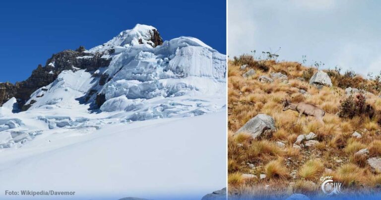  - Los nevados más bellos de Colombia que puede visitar en cualquier fecha del año