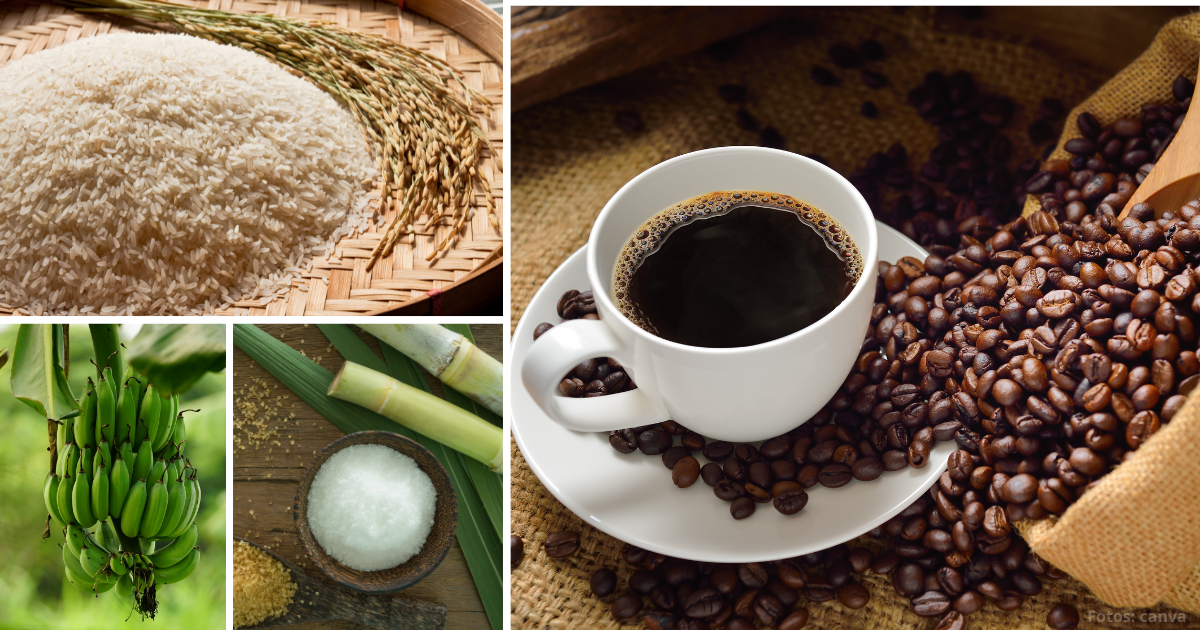 El café, el plátano y otros más no son colombianos. ¿Cuál es su país de origen?