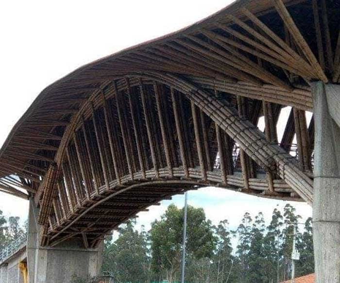 puente de guadua