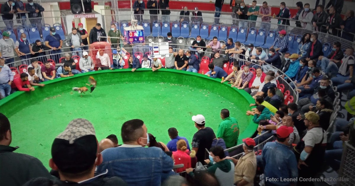 Adiós a las galleras como la San Miguel, el lugar que atrapó apostadores por 70 años