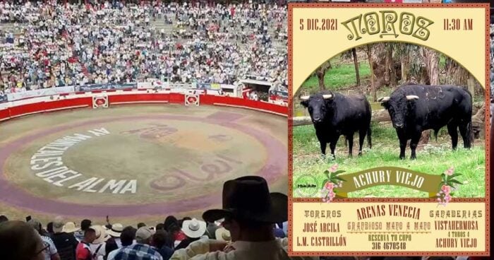 Achury Viejo: el imperio taurino que la familia Rocha perdió pagando las deudas de la pirámide ganadera - -- Las2orillas Achury Viejo - Felipe Rocha