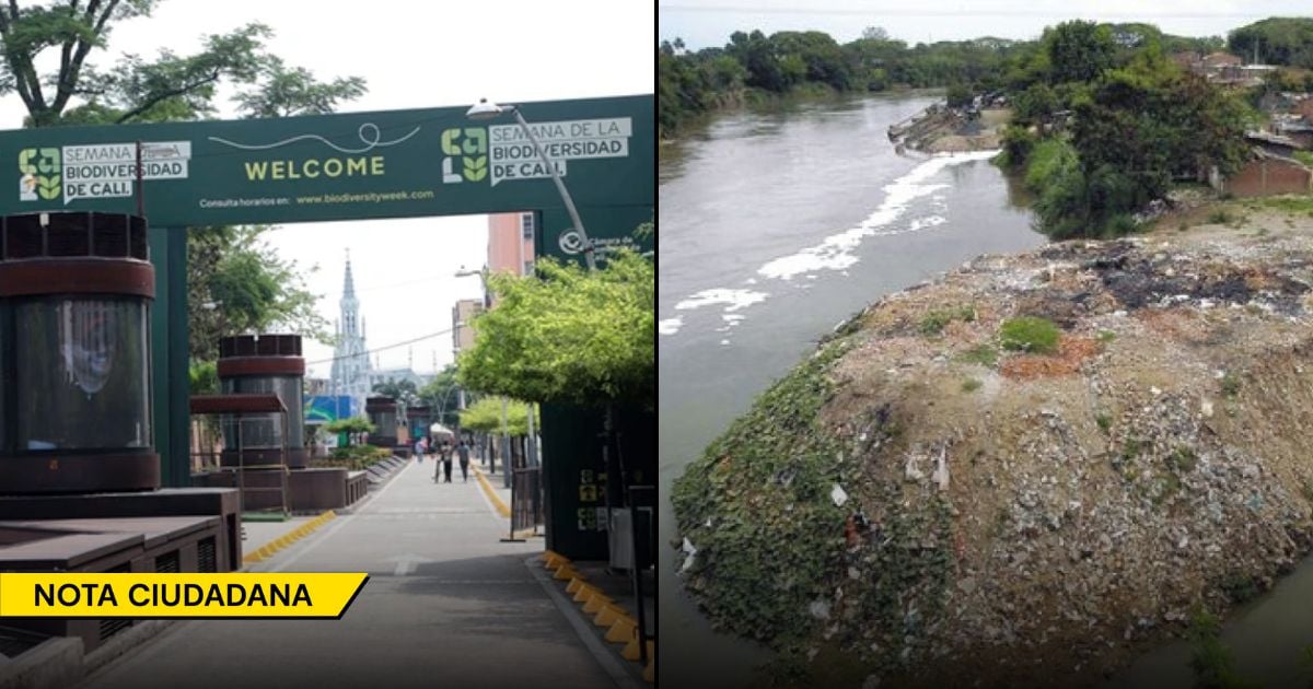 Los congresos sobre medio ambiente son una cortina de humo que no salvan ni un solo río