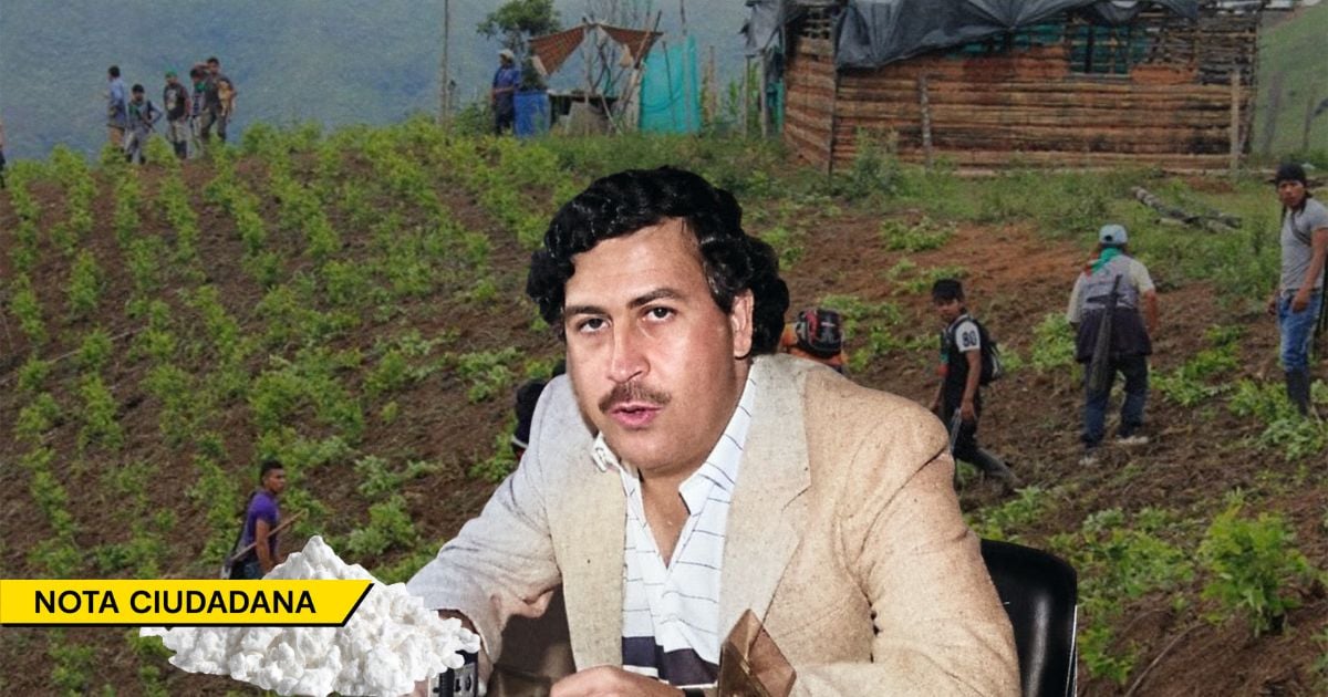 La herencia maldita que dejó Escobar con la que sobreviven las familias más pobres y olvidadas del país