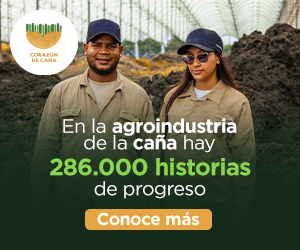  - Las2orillas.co: Historias, voces y noticias de Colombia