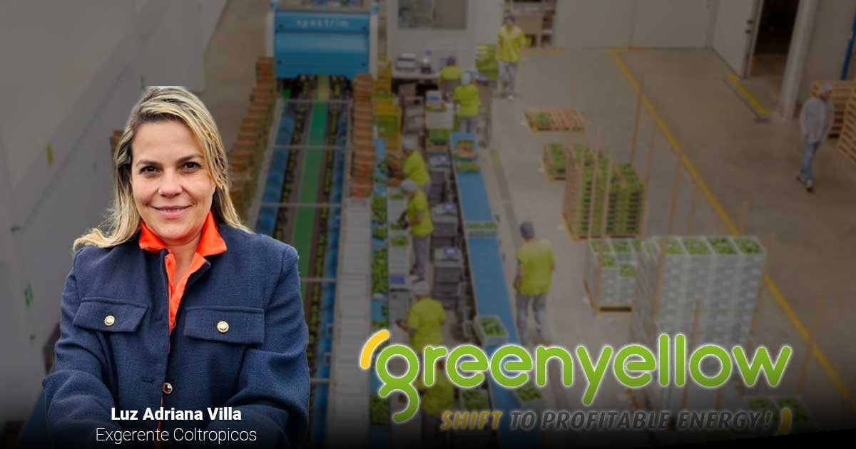 Los franceses de Green Yellow junto con Coltrópicos logran la primera planta de aguacate para exportación