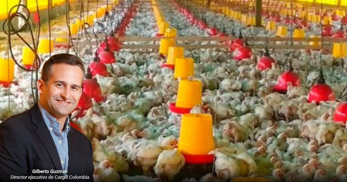 Los gringos dueños de Pollos El Bucanero lograron entrar con carne fresca al exigente mercado japonés