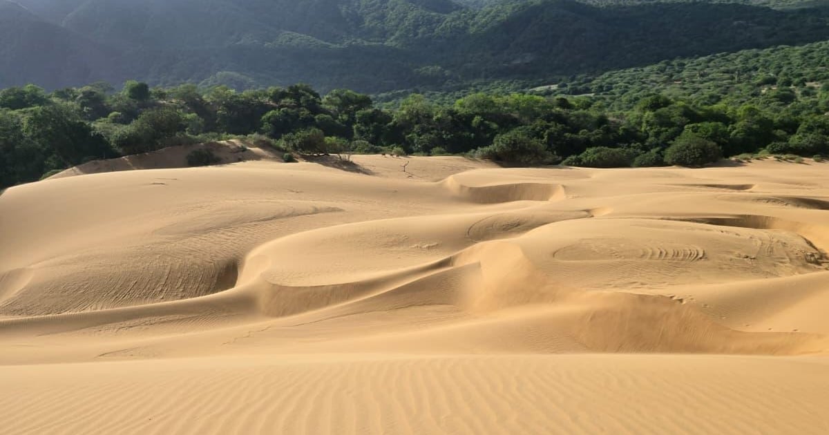El video que puso a La Guajira en lo más alto de Cannes con un premio internacional