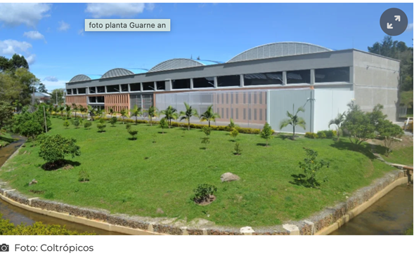 Los franceses de Green Yellow junto con Coltrópicos logran la primera planta de aguacate para exportación - -- Las2orillas - Los franceses de Green Yellow junto con Coltrópicos logran la primera planta de aguacate para exportación