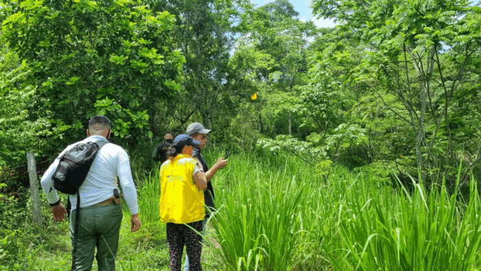  - Enfrentado paras, empresarios corruptos y rastreando sus bienes avanza la justicia transicional de la Fiscalía