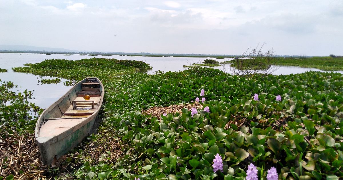 Este es el histórico pueblo del Valle considerado patrimonio, rodeado de parques, páramos ya lagunas