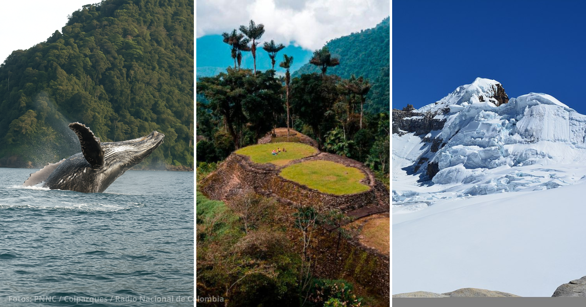 Diez parques nacionales entre ríos, playas y bosques que revelan la belleza escondida de Colombia