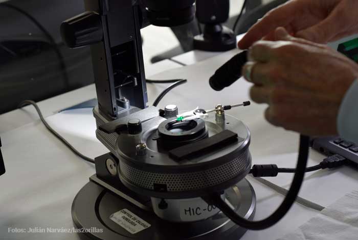  - El secreto del arte de tallar las esmeraldas que salen de las minas de Muzo