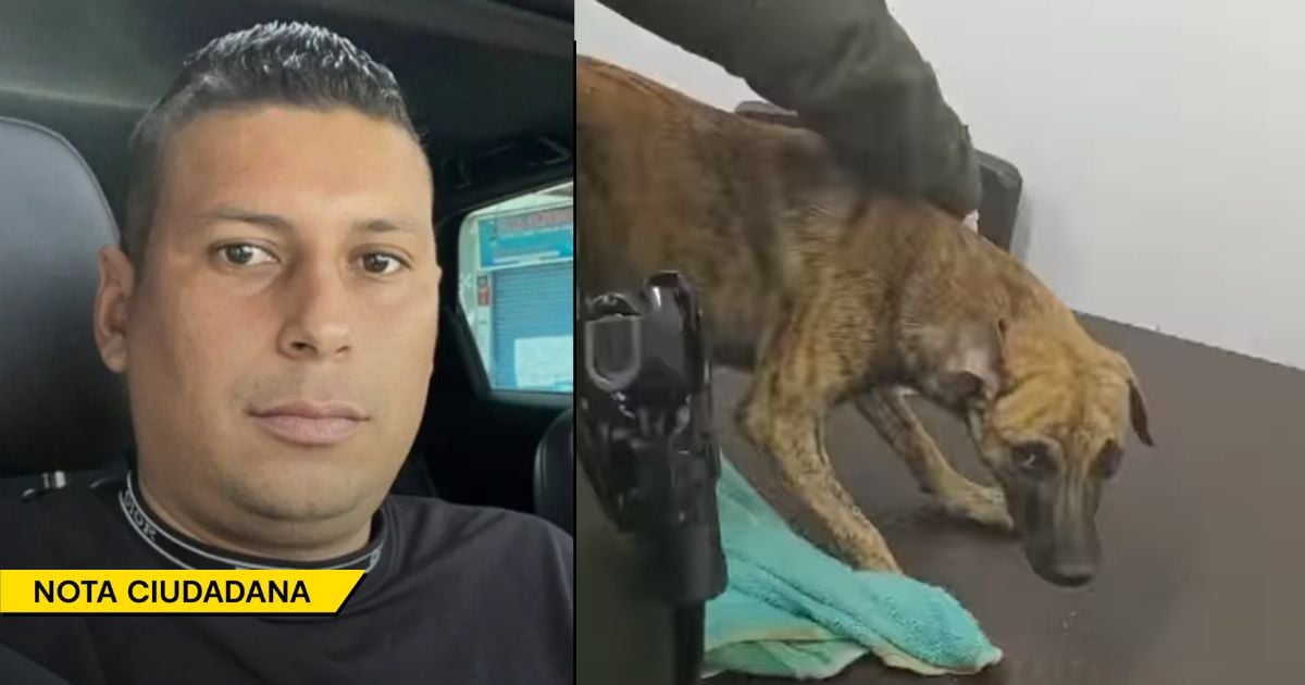El vacío legal que puede dejar libre al hombre que casi mata a un perro a patadas en Antioquia
