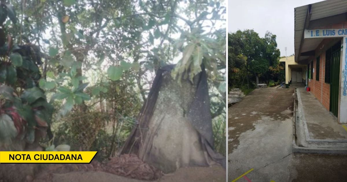 La escuelita del Tolima donde 19 niños ven clases entre invasiones de mosquitos y tarántulas gigantes