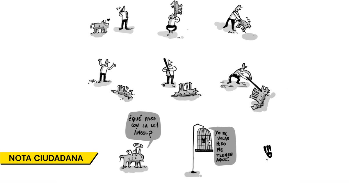 Caricatura: La ley que protege a los animales sigue enjaulada
