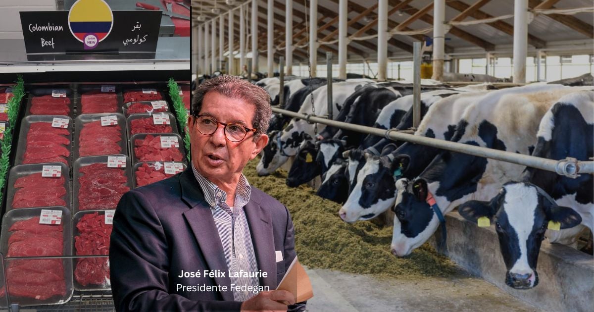 La estrategia de Fedegán para poner a buena parte del mundo a comer carne de res colombiana, China la que más compra