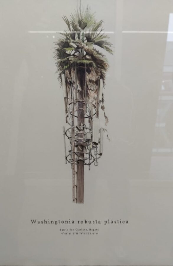  - Las primeras historias de un coleccionista