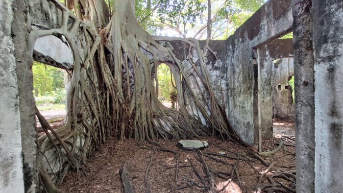 - ¿Armero volverá a suceder?