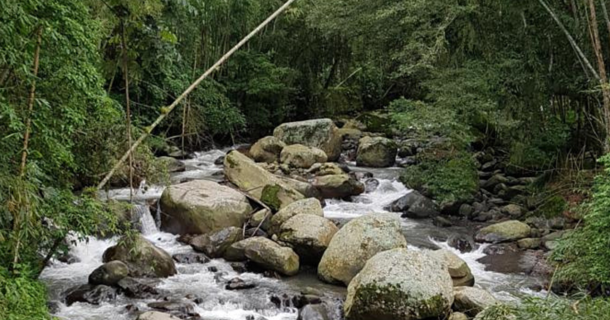 Ríos imperdibles para nadar cerca de Bogotá, a menos de tres horas