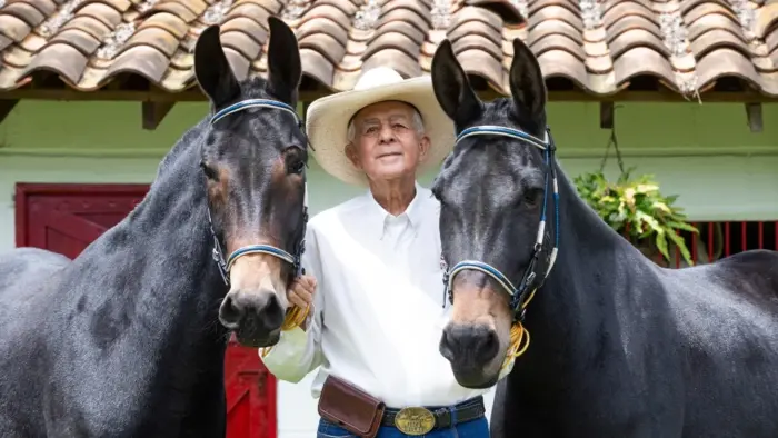 El arriero paisa que volvió su criadero de mulas Villa Luz sitio obligado de ganaderos como el expresidente Uribe - -- Las2orillas Ovidio Osorio
