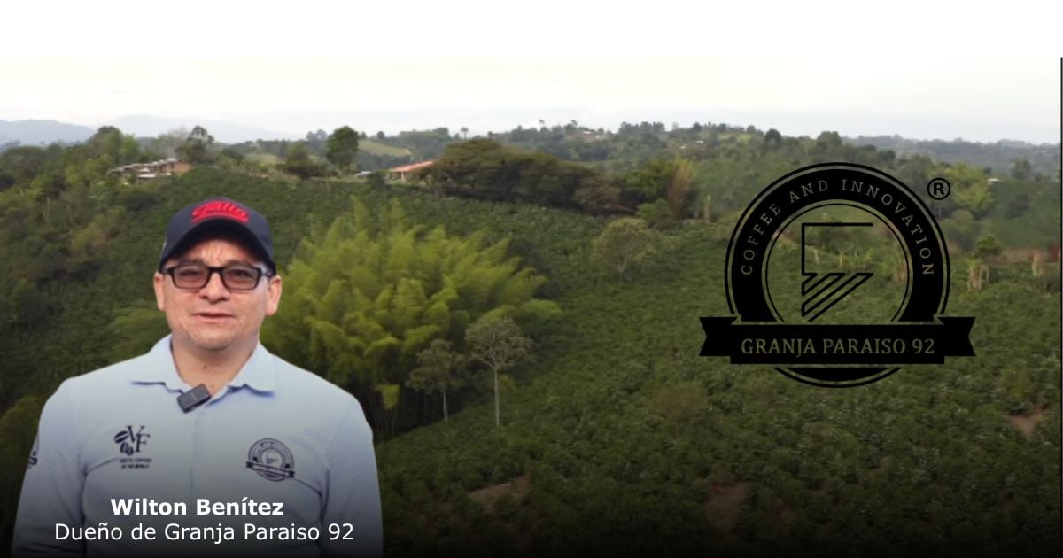 Récord histórico para un café colombiano, se vendió a USD 200 por libra a un comprador de Taiwan