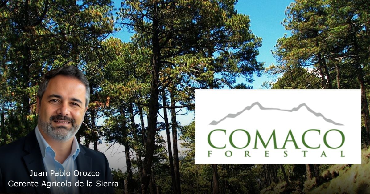 Una empresa maderera chilena que llegó a Colombia hace 20 años planea invertir USD 15 millones en Antioquia