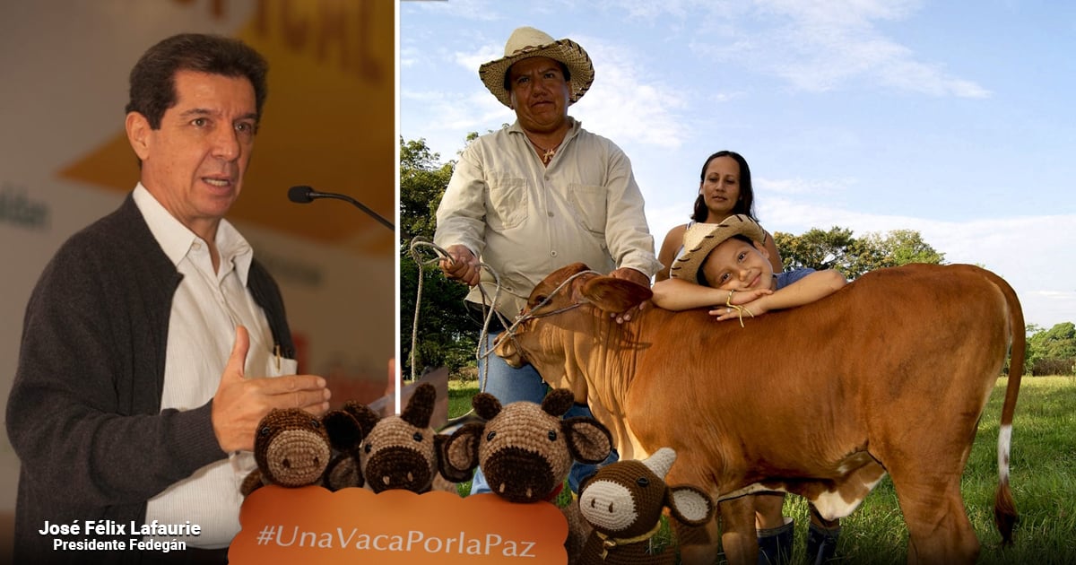 Así fue como se logró la donación de 1500 vacas para entregárselas a familias campesinas humildes
