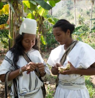  - Cómo la marca Cacao Hunters puso a los japoneses a comer chocolates bajados de la Sierra, Arauca y Tumaco
