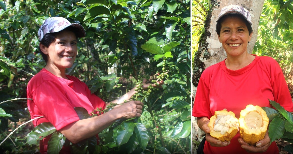 El proyecto que salvó de la depresión y el dolor a 25 mujeres cafeteras de Santander