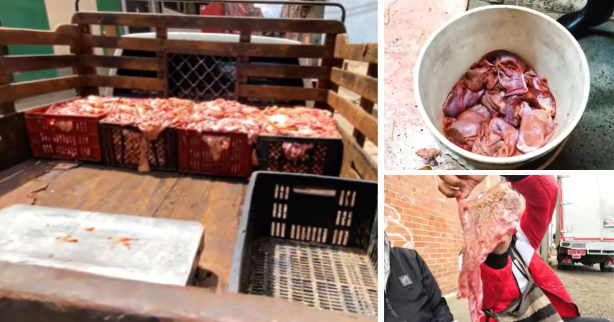 La desagradable verdad de donde sale la carne para pinchos callejeros y muchas empanadas baratas