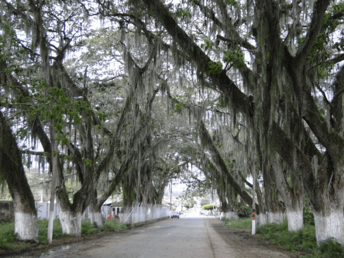 Cuál es el pueblito del Valle que es famoso por sus 'solteritas' y sus hermosos paisajes