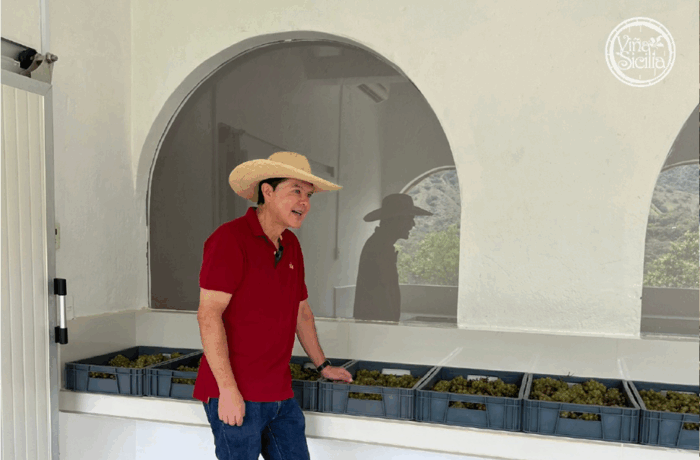 Cómo logró un médico paisa el milagro de producir vino, en Viña Sicilia, de alta calidad en Antioquia - -- Las2orillas Carlos Bravo en el viñedo de Antioquia Viñaa Sicilia