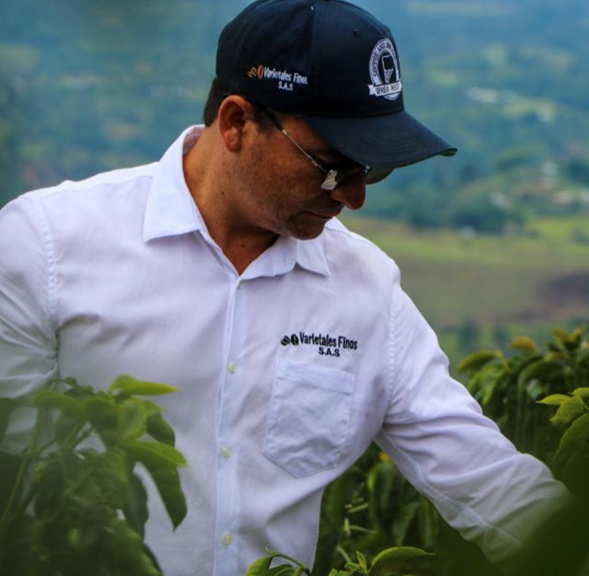  - Récord histórico para un café colombiano, se vendió a USD 200 por libra a un comprador de Taiwan