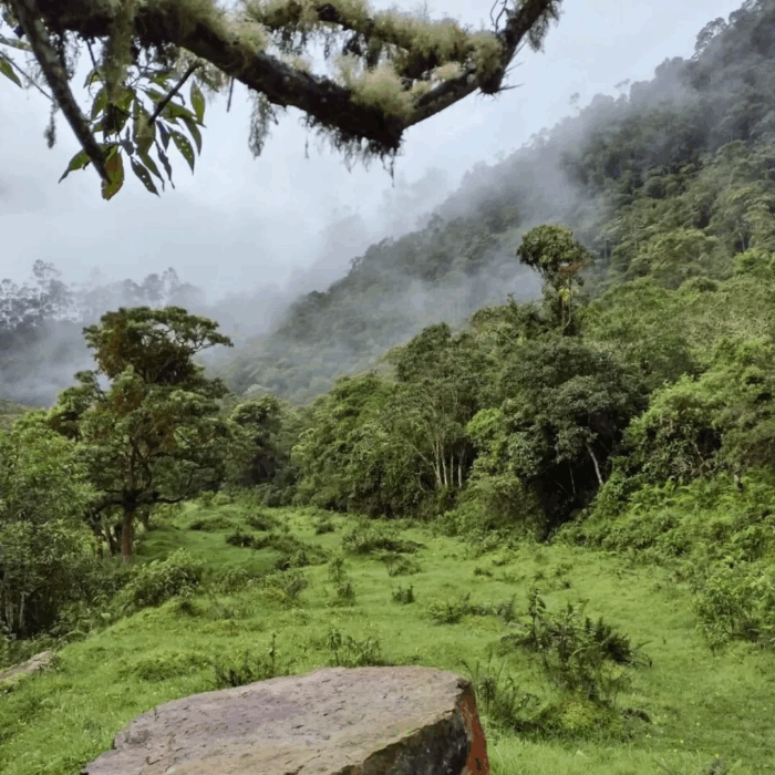 Este pueblo de Cundinamarca no está lejos de Bogotá y es ideal para los amantes del frío y la naturaleza - -- Las2orillas Este pueblo de Cundinamarca no está lejos de Bogotá y es ideal para los amantes del frío y la naturaleza