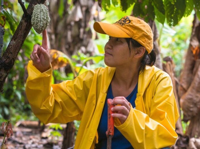  - Cómo la marca Cacao Hunters puso a los japoneses a comer chocolates bajados de la Sierra, Arauca y Tumaco