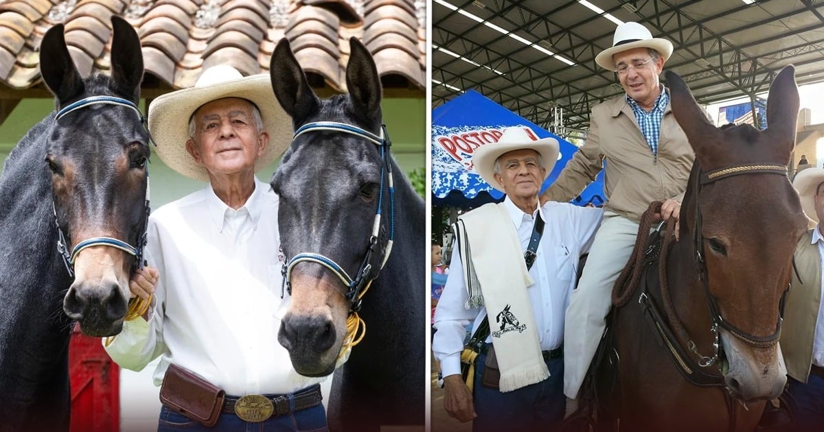 El arriero paisa que volvió su criadero de mulas Villa Luz sitio obligado de ganaderos como el expresidente Uribe