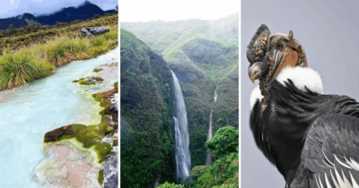 Puracé el mágico lugar de Popayán donde nacen cuatro de los grandes ríos de Colombia - -- Las2orillas - Puracé el mágico lugar de Popayán donde nacen cuatro de los grandes ríos de Colombia