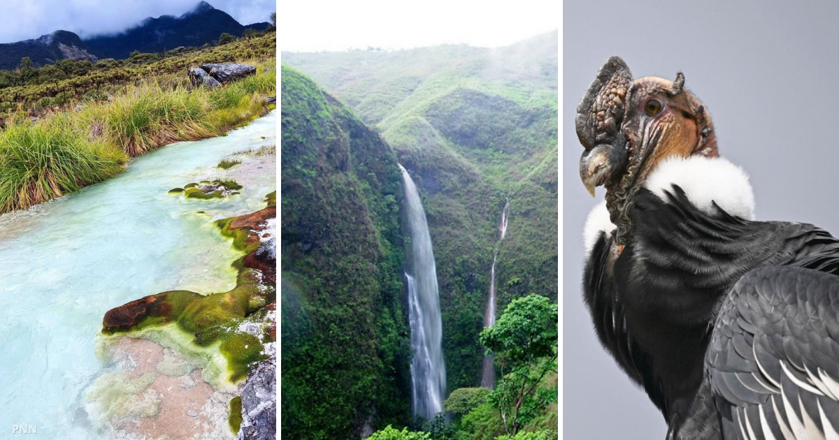 El mágico lugar de Popayán donde nacen cuatro de los grandes ríos de Colombia