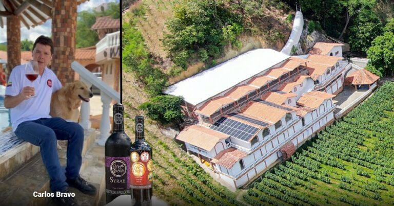 Viña Sicilia - Cómo logró un médico paisa el milagro de producir vino, en Viña Sicilia, de alta calidad en Antioquia