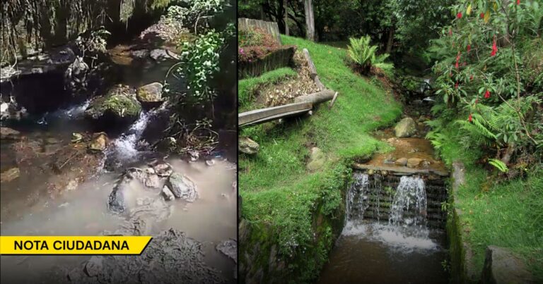  - Las aguas cristalinas de la quebrada La Vieja se volvieron el desembocadero de un caño de aguas negras