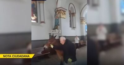 Así fue como un potro se coló en una iglesia de La Ceja justo antes de misa - -- Las2orillas - Así fue como un potro se coló en una iglesia de La Ceja justo antes de misa