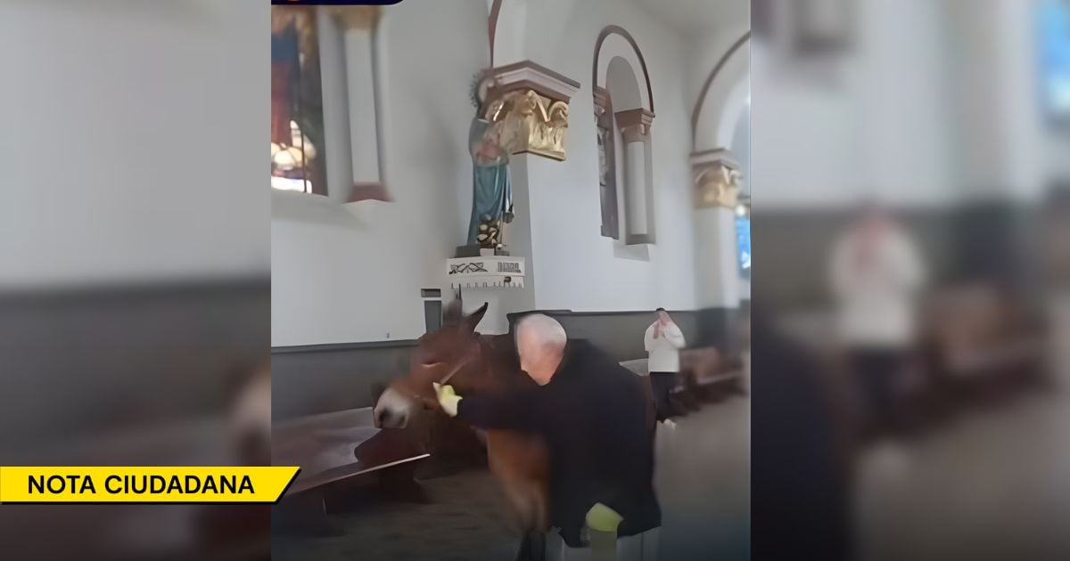 Así fue como un potro se coló en una iglesia de La Ceja justo antes de misa