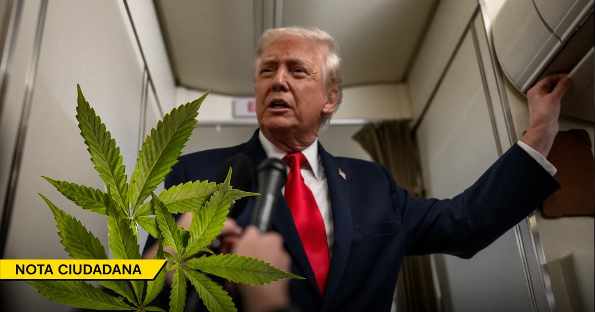 Trump le daría el visto bueno a la marihuana para que se convierta en un producto agrícola de EE. UU.