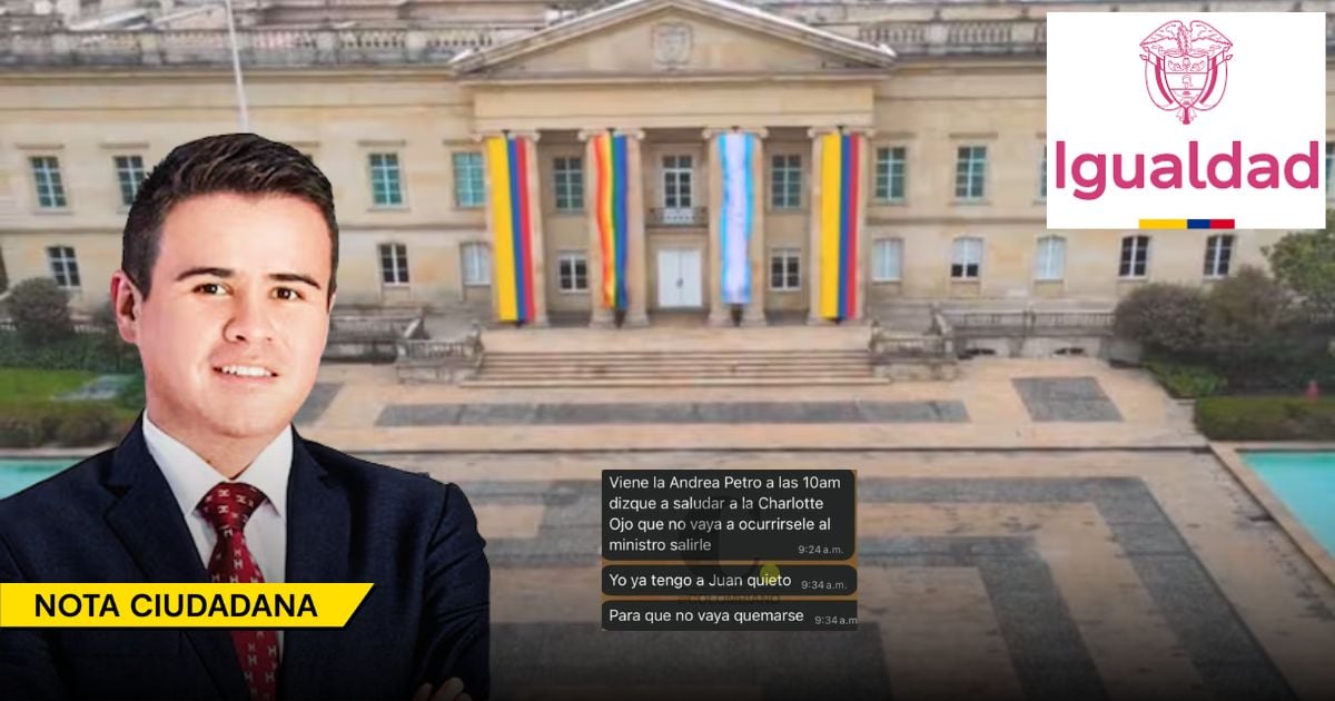 El polémico contrato y los mensajes que tumbaron al viceministro de Diversidades