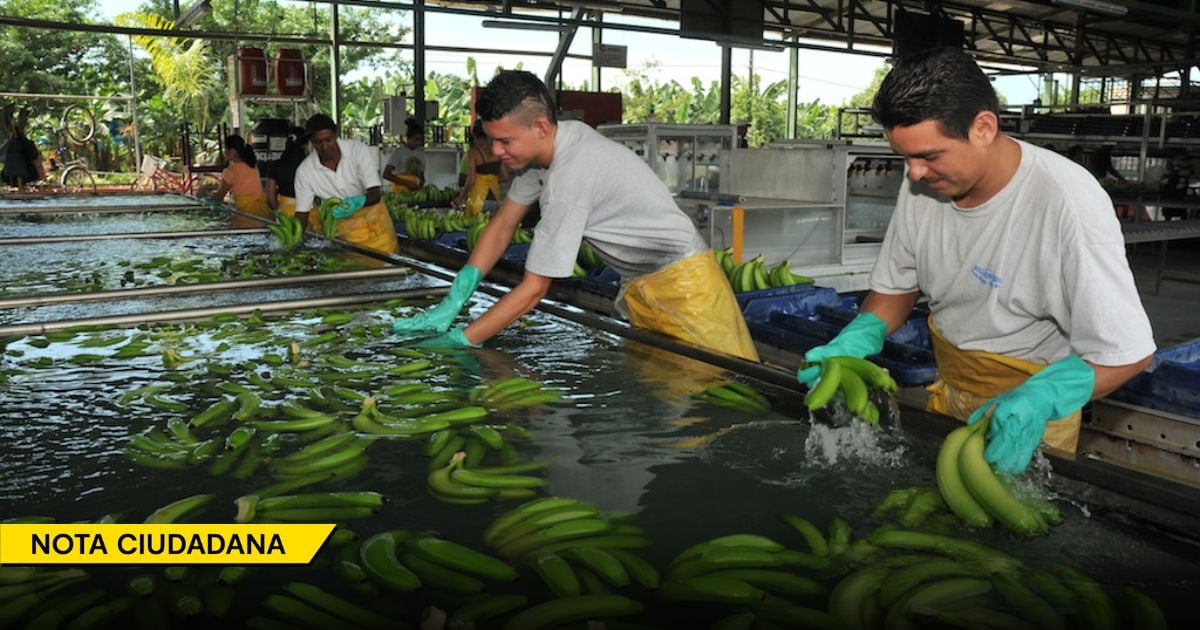 Mesa Sectorial de la Agroindustria del Banano realizó reunión en Urabá