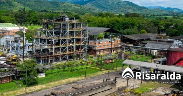 El dulce imperio de Carlos Ardila de tierras fértiles y caña que tiene a sus hijos como grandes productores de azúcar - -- Las2orillas Ingenio de Risaalda