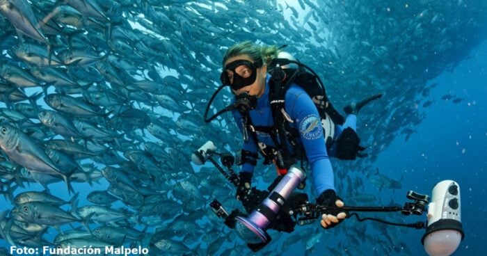 Fundación Malpelo Sandra Bessudo