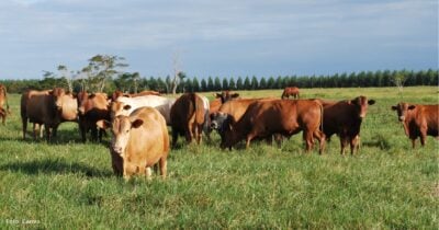 Las2orillas.co: Historias, voces y noticias de Colombia - -- Las2orillas - Las2orillas.co: Historias, voces y noticias de Colombia