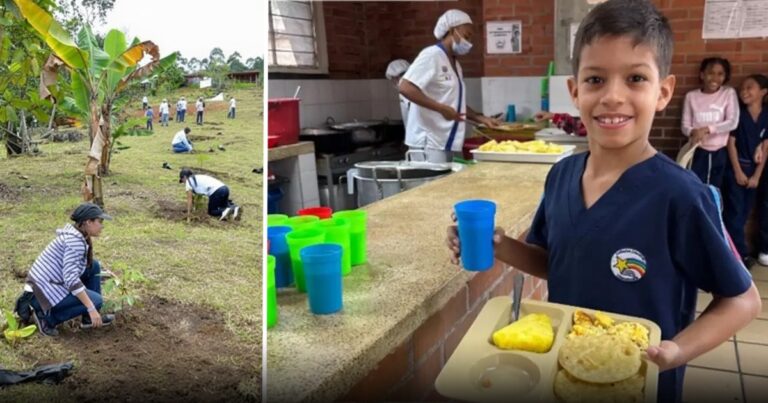  - Así avanza El Valle del Cauca en empleo y reducción de pobreza en medio del olvido del Gobierno nacional