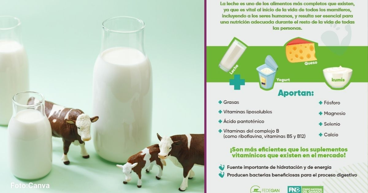 Verdades sobre el poder de la leche que tumban viejos mitos - -- Las2orillas - Verdades sobre el poder de la leche que tumban viejos mitos